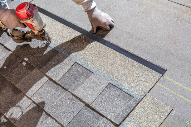 Best Affordable Roofing Company  in Jackson, MI